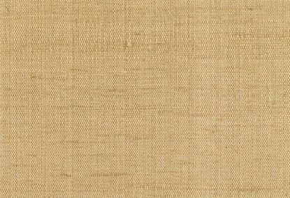 Picture of BARBADOS-143