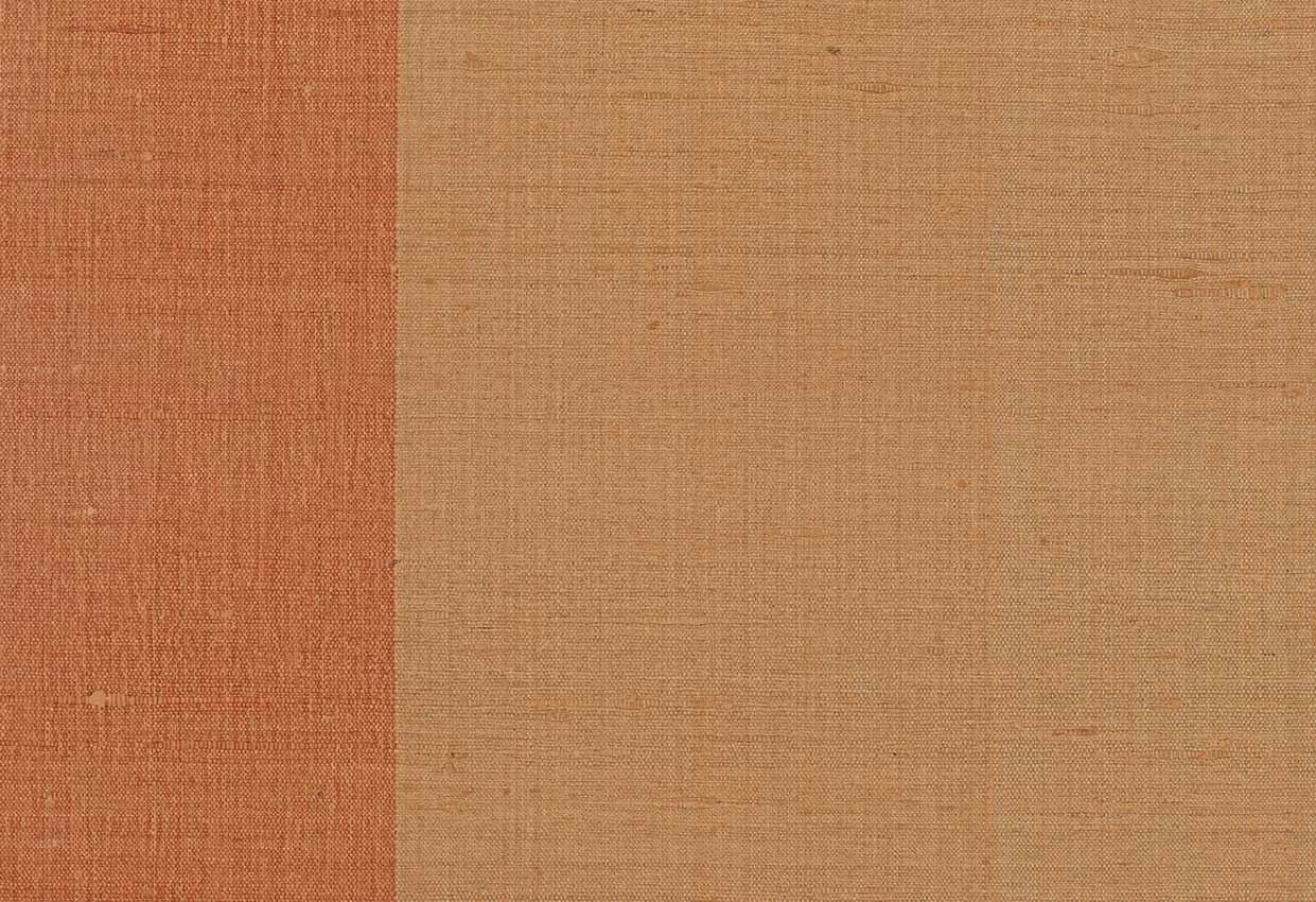 Picture of BORIS-EARTH