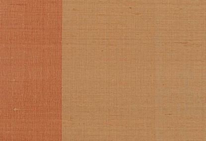 Picture of BORIS-EARTH