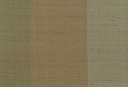 Picture of BORIS-GRASS