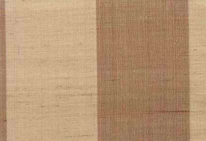 Picture of BORIS-TAN