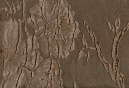 Picture of CLARA-TRUFFLE