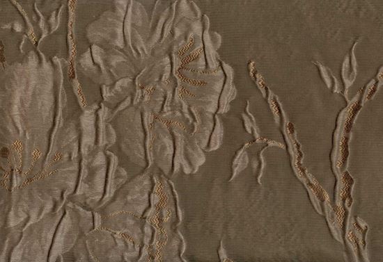 Picture of CLARA-TRUFFLE