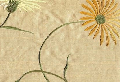 Picture of DAISY-BUTTER