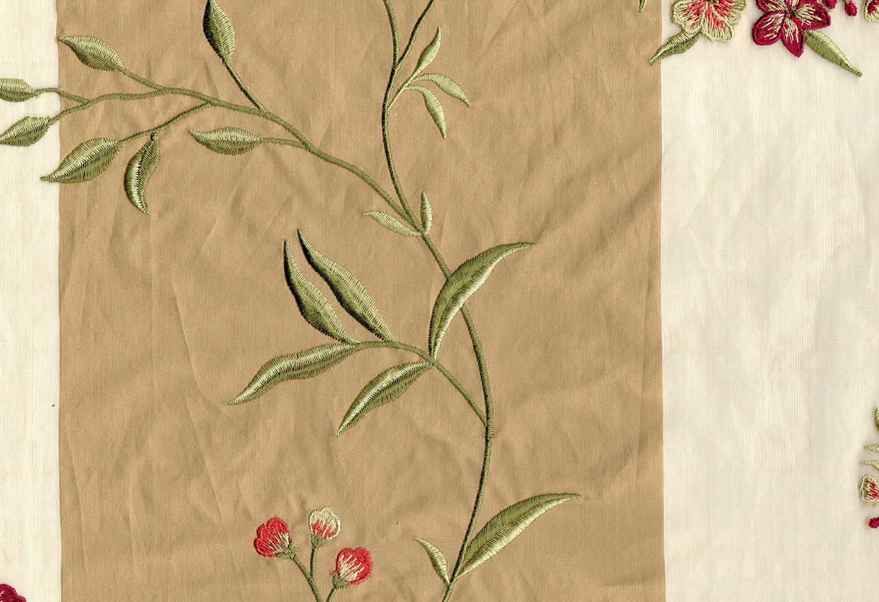 Picture of DIANA-TAN