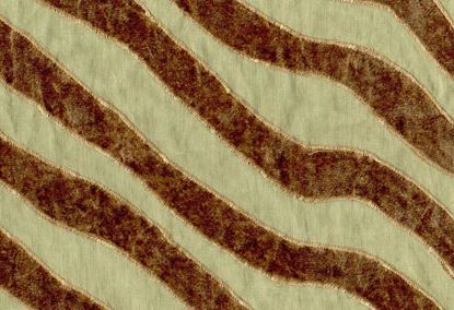 Picture of DYLAN-CAMEL