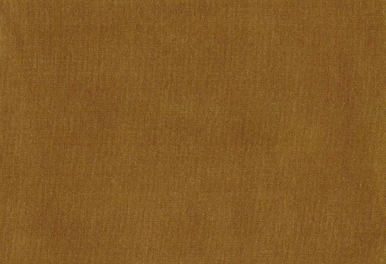 Picture of EMMA-AMBER