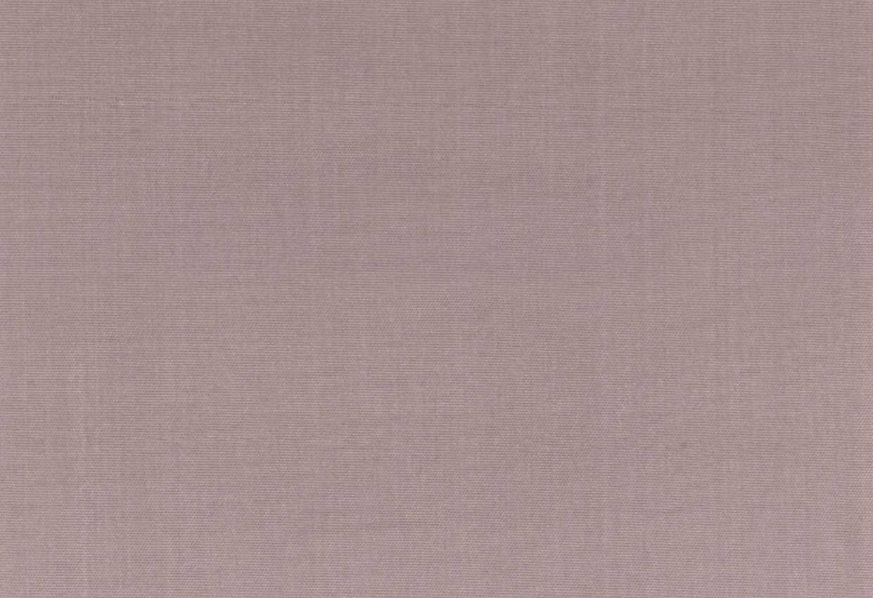 Picture of EMMA-CLAY