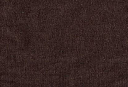 Picture of EMMA-CLOVE