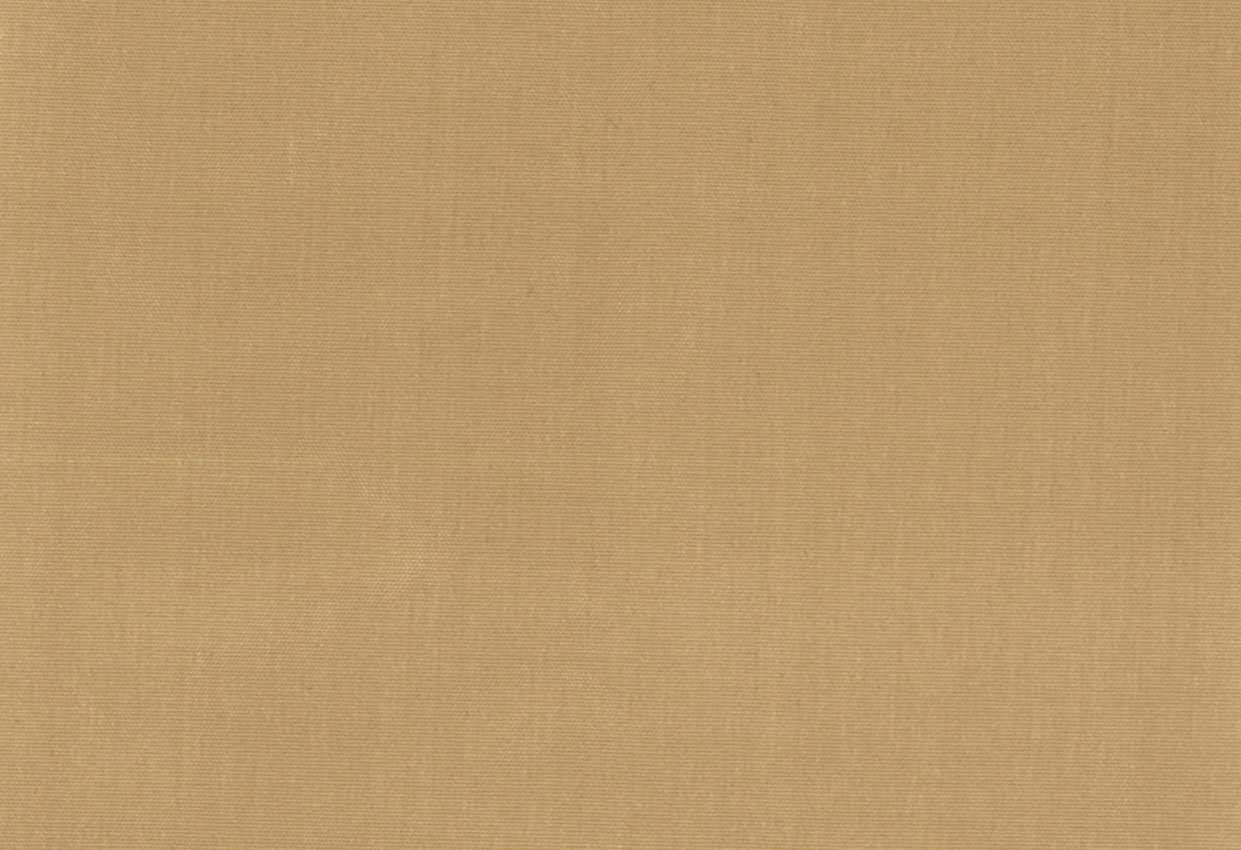 Picture of EMMA-CORN