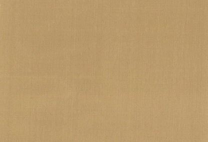 Picture of EMMA-CORN