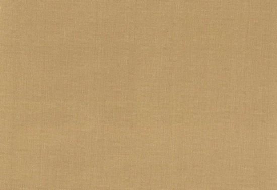 Picture of EMMA-CORN