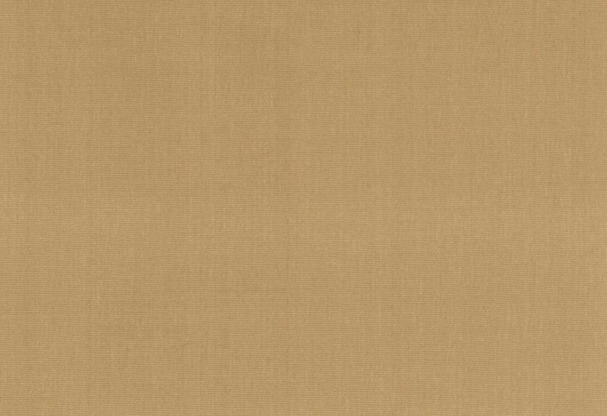 Picture of EMMA-MAIZE