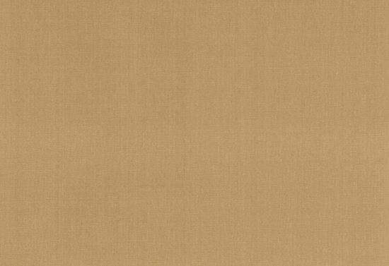 Picture of EMMA-MAIZE