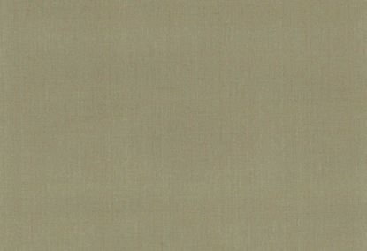 Picture of EMMA-MINT