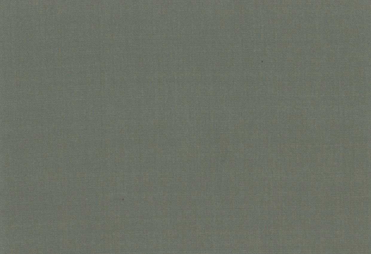 Picture of EMMA-NILE