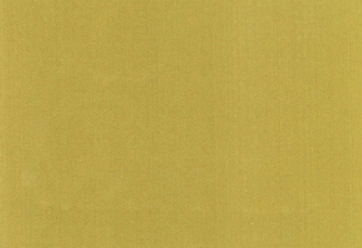 Picture of ETOILE-CITRON