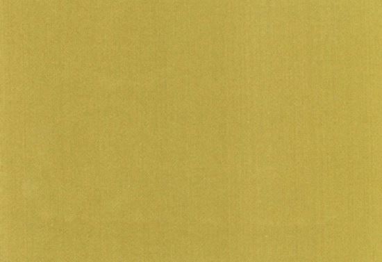 Picture of ETOILE-CITRON