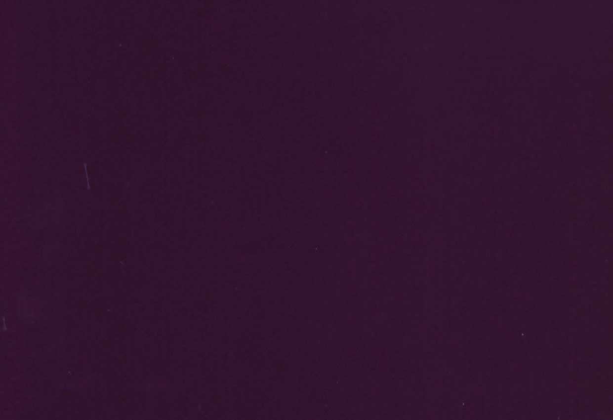 Picture of ETOILE-IRIS