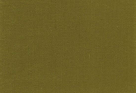 Picture of FIONA-AVOCADO