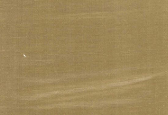 Picture of FIONA-MINK