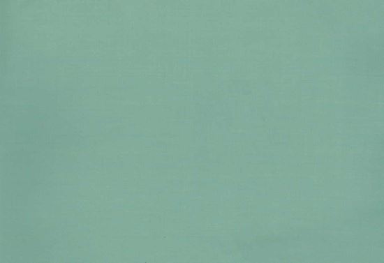 Picture of FIONA-OCEAN