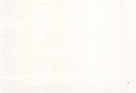 Picture of FIONA-OYSTER