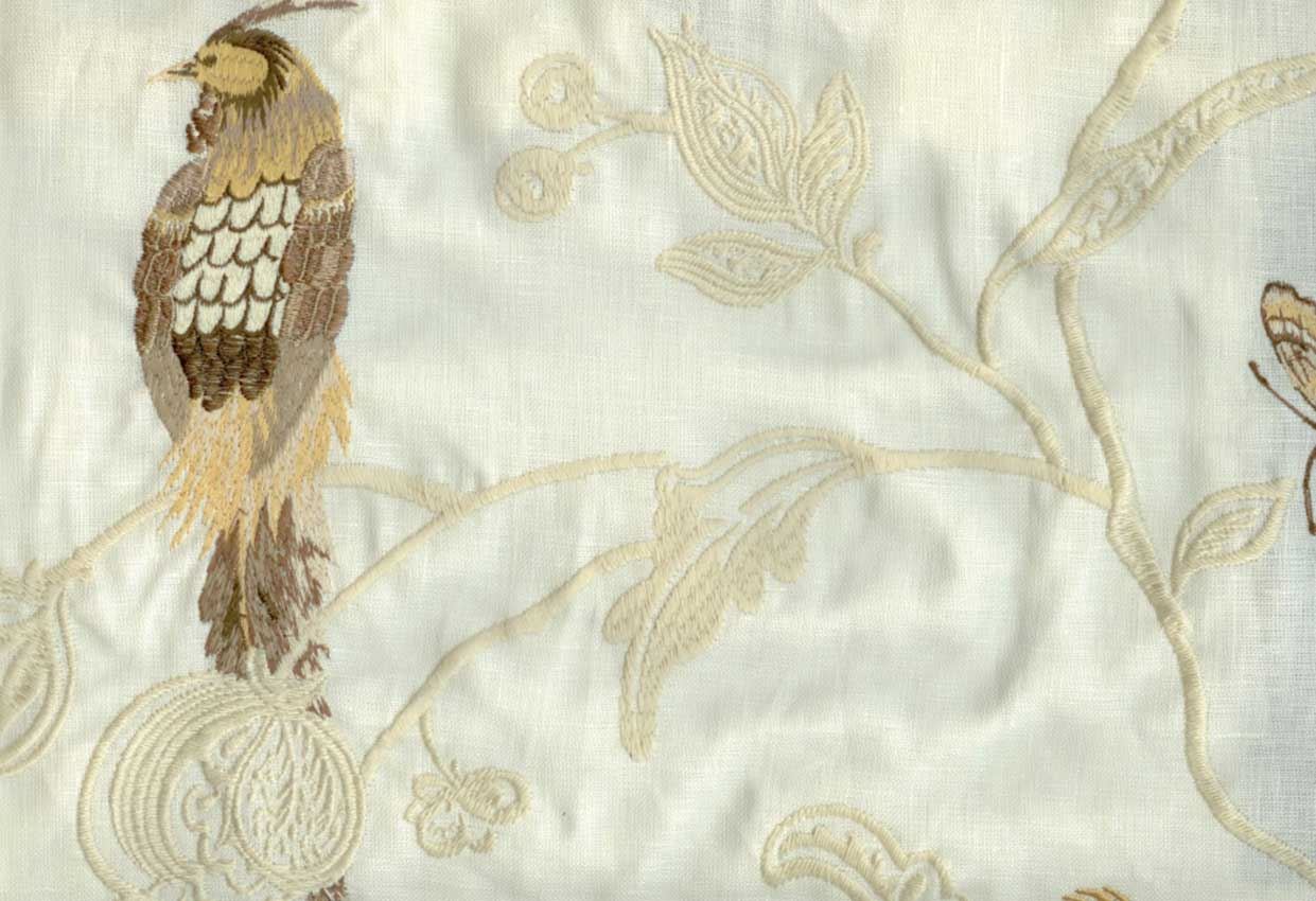 Picture of monarch-cream