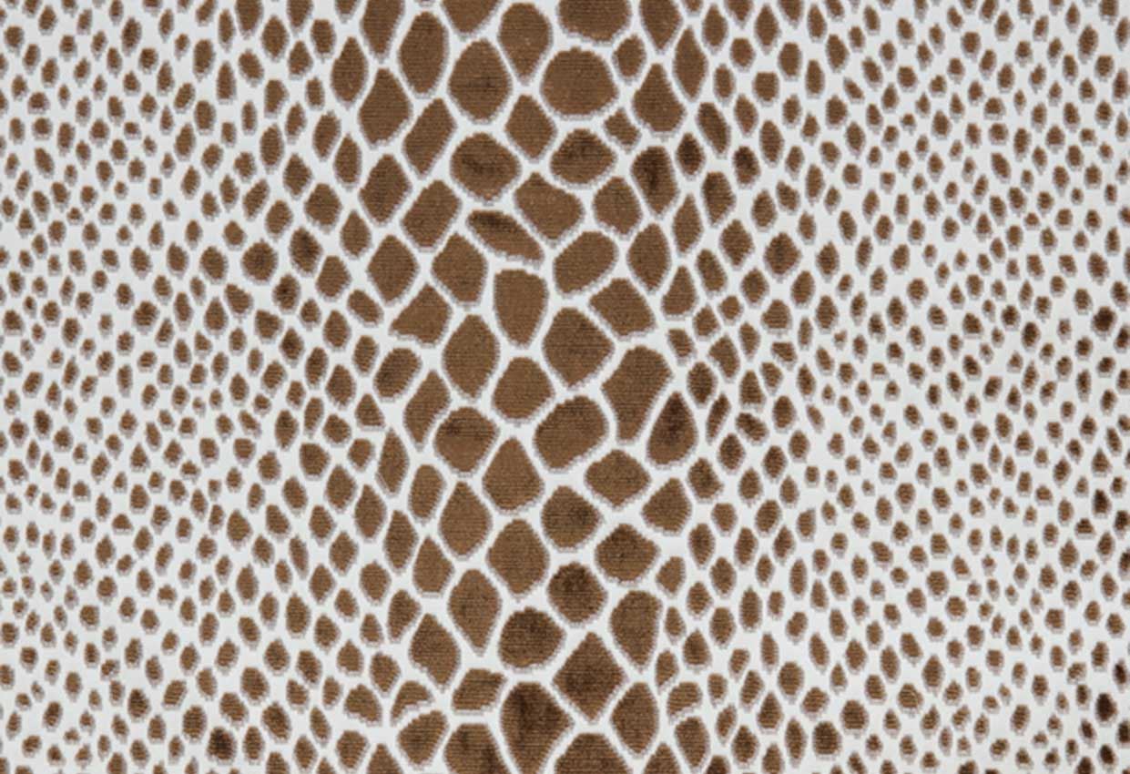 Picture of NALA-CAFE