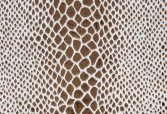 Picture of NALA-CAFE