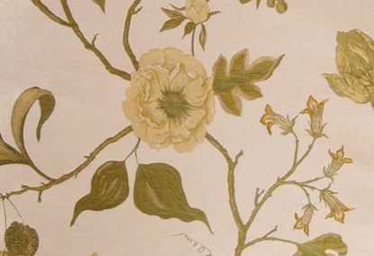 Picture of NISA-BUTTER