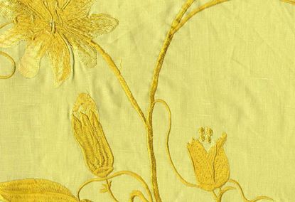 Picture of PASSIFLORA-LIME