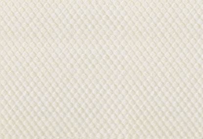 Picture of SKARA 55 INCH-ECRU