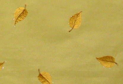 Picture of STARLEAF-GOLD