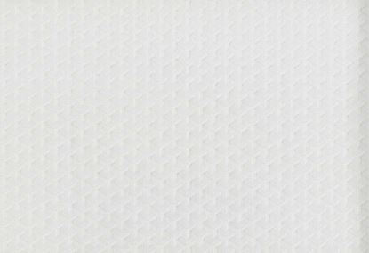 Picture of STAVERN-BLANCO