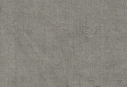 Picture of STELLA-CHARCOAL