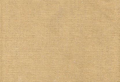 Picture of STELLA-GOLD