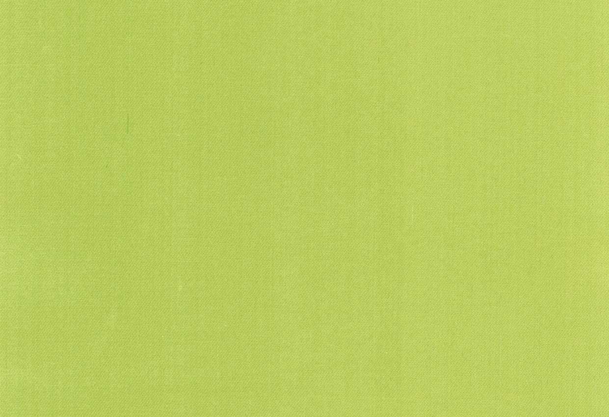 Picture of ZARATE-CELERY