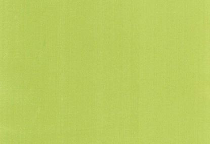 Picture of ZARATE-CELERY