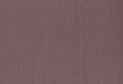 Picture of ZARATE-LILAC