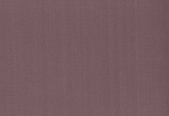 Picture of ZARATE-LILAC