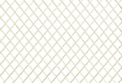 Picture of CENON-PEARL