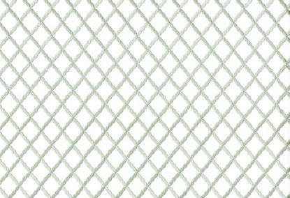 Picture of CENON-AQUA