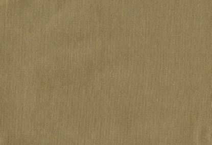 Picture of EMMA-TAUPE