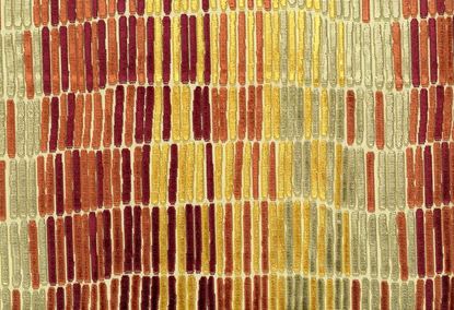 Picture of ANGKOR-SPICE