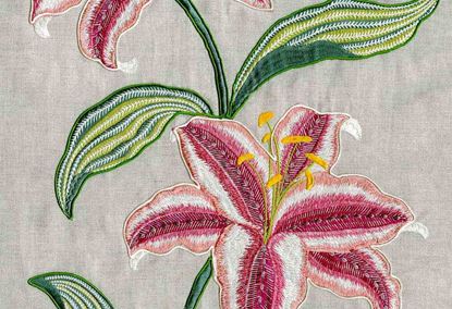 Picture of HOLLAND-FUCSHIA