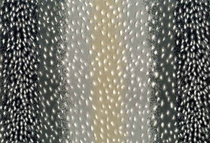 Picture of NERI-STONE