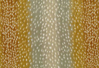 Picture of NERI-TIGERS EYE