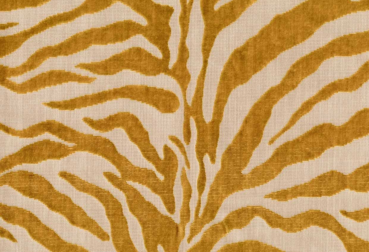 Picture of RONGO-GOLDEN