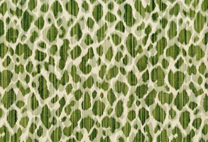 Picture of ESSEN-KELP